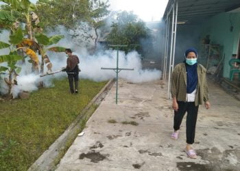 Puskesmas Kotaagung Bersama Pemerintahan Pekon Kota Batu Melakukan Fogging untuk Cegah Penyebaran DBD