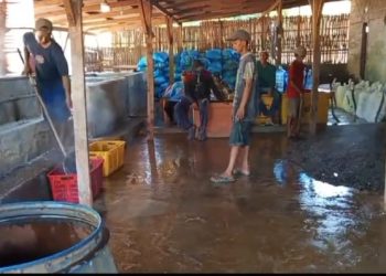 Warga Dusun Sukorahayu Keluhkan Pencemaran Limbah Usaha Tripang