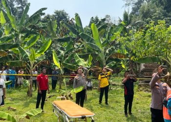 Petugas PLN Tewas Tersengat Listrik di Lampung Timur, Polisi Lakukan Evakuasi