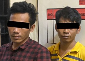 Satresnarkoba Polres Tanggamus Amankan Dua Kurir Narkoba di Pugung