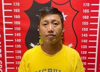 Polres Pesibar Amankan Tersangka Penyelundupan Benih Lobster, Kapolres: Pelaku Lain Masih Dikejar