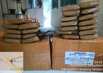 Tim Terpadu Seaport Interdiction Bakauheni Gagalkan Penyelundupan 23 Paket Ganja dari Ekspedisi