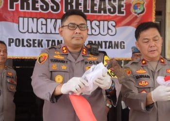 Terbongkar Gara-Gara Tes Kehamilan, Pelaku Pembunuhan di Lampung Selatan Ditangkap