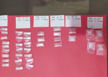 Ditresnarkoba Polda Lampung Tangkap Pengedar Sabu di Pesawaran, Dukung Program Asta Cita Presiden