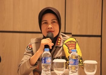 Atasi Konflik Gajah Liar di Tanggamus, 3 Mahot Didatangkan untuk Evakuasi