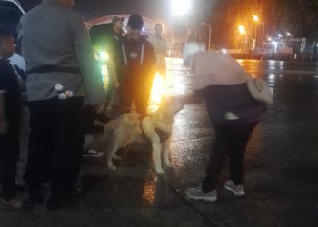 Polisi Perketat Pemeriksaan Narkoba di Pelabuhan Bakauheni dengan Satwa K-9