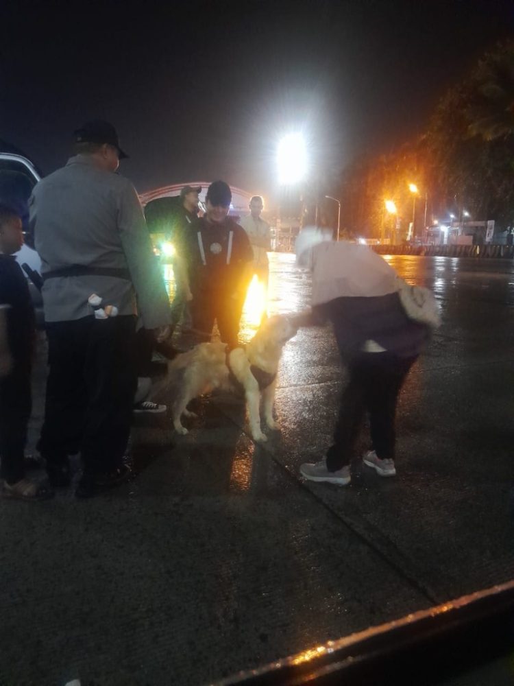 Polisi Perketat Pemeriksaan Narkoba di Pelabuhan Bakauheni dengan Satwa K-9