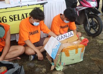 Polres Lampung Selatan Gagalkan Penyelundupan 16 Kg Ganja, Dua Tersangka Ditangkap