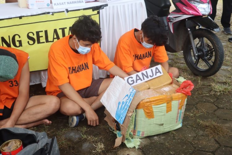 Polres Lampung Selatan Gagalkan Penyelundupan 16 Kg Ganja, Dua Tersangka Ditangkap