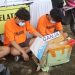 Polres Lampung Selatan Gagalkan Penyelundupan 16 Kg Ganja, Dua Tersangka Ditangkap