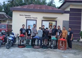 Dua Pelajar SMA Ditangkap Polisi Usai Curi Burung Murai di Pringsewu