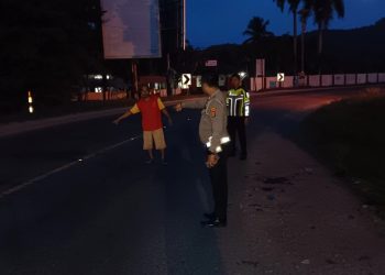 Kecelakaan Maut di Pringsewu: Satu Korban Tewas, Dua Luka-Luka