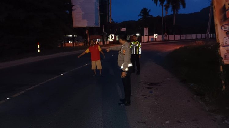 Kecelakaan Maut di Pringsewu: Satu Korban Tewas, Dua Luka-Luka