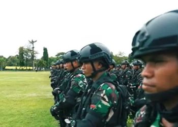 RUU TNI: Menyempurnakan Peran TNI dalam Menjaga NKRI
