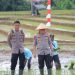 Kapolda Lampung Turun ke Sawah, Dukung Tanam Raya Padi untuk Kedaulatan Pangan