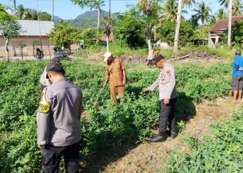 Polsek Padang Cermin Dukung Ketahanan Pangan, Angkat Potensi Warga Lewat Lomba Perkarangan Bergizi