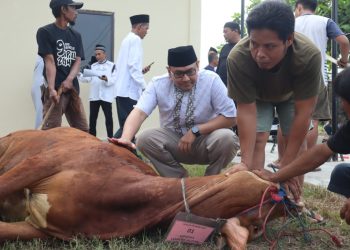 Semangat Kurban Satukan Keluarga Besar Polres Lampung Selatan di Hari Raya Idul Adha