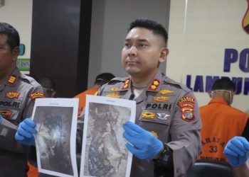 Tragis: Remaja 17 Tahun di Lampung Selatan Jadi Tersangka Kasus Pembuangan Bayi