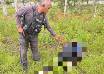 Satgas Ops Damai Cartenz Selidiki Pembunuhan Pegawai Honorer di Yahukimo, Dugaan Arahkan ke KKB