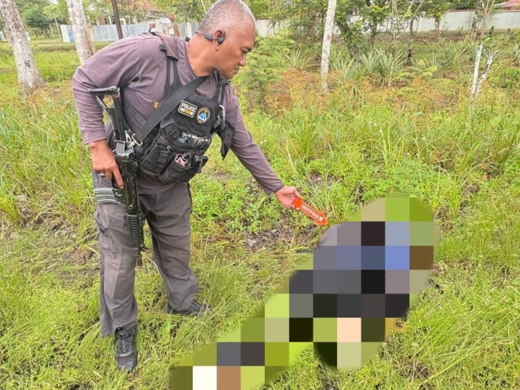 Satgas Ops Damai Cartenz Selidiki Pembunuhan Pegawai Honorer di Yahukimo, Dugaan Arahkan ke KKB