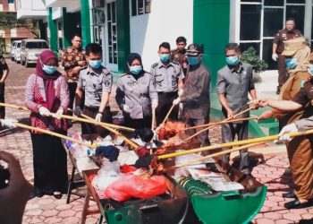Kejari Pringsewu Musnahkan Barang Bukti: Ganja Rumahan hingga Sabu Dibabat Habis