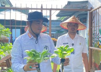 Panen Pakcoy Hidroponik di Lapas Kalianda, Kalapas Beni Nurrahman Tanamkan Nilai Kemandirian