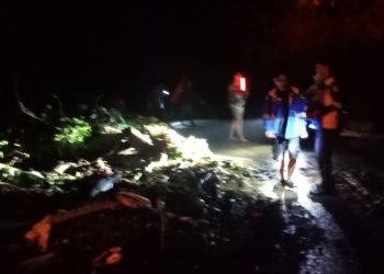 Tumpukan Material Longsor Tutupi Ruas Jalan Wisata Ketapang, Erosi Air Diperparah Drainase Buruk