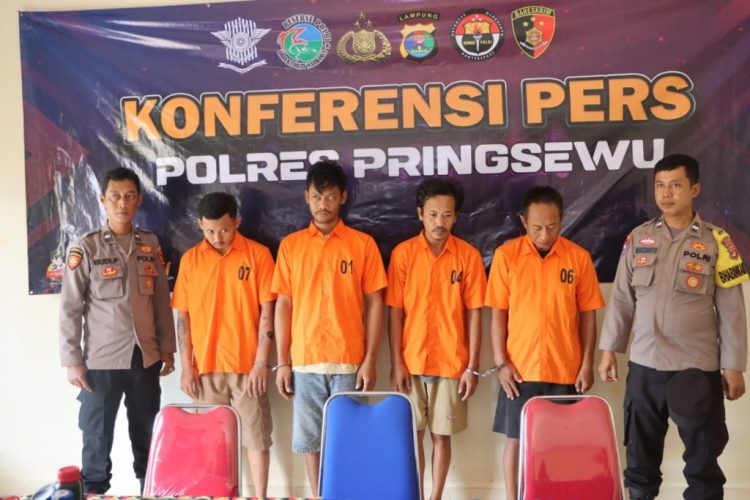 Polres Pringsewu Ringkus Empat Pelaku Pencurian Uang dan Ponsel di Pardasuka