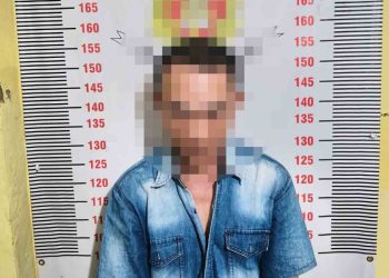 Polisi Amankan Pelaku Pencurian Jagung di Gudang Pakan Sidomulyo, Satu Rekan Masih Diburu