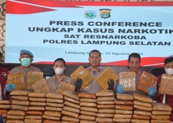 Polres Lampung Selatan Gagalkan Penyelundupan 90 Kg Ganja di Bakauheni