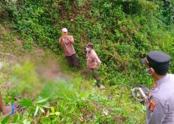 Polsek Semaka Evakuasi Mayat Laki-Laki di Jurang Jalan Rewel, Tanggamus
