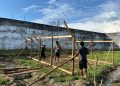 Lapas Dharmasraya Dorong Kemandirian Warga Binaan dengan Program Budidaya Bebek, Hasilnya Bisa Jadi Pemasukan Ekonomi