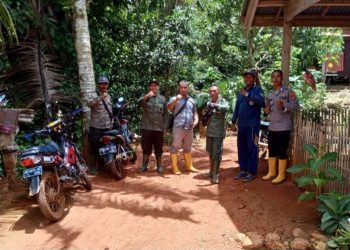 Warga Pematang Sawa Diharap Waspada, Dua Kambing Diserang Beruang Madu