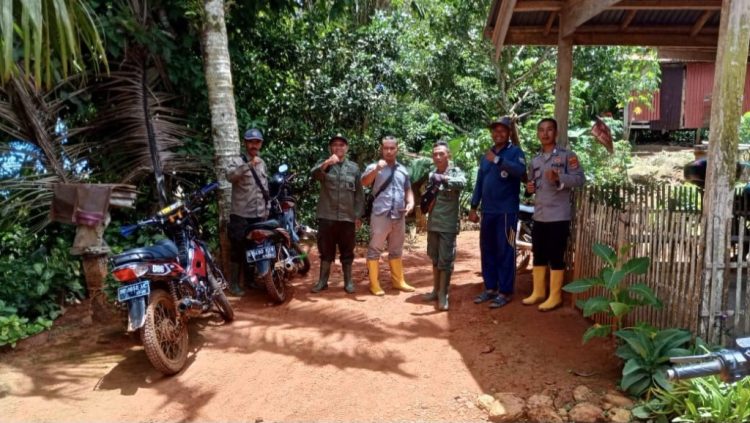 Warga Pematang Sawa Diharap Waspada, Dua Kambing Diserang Beruang Madu
