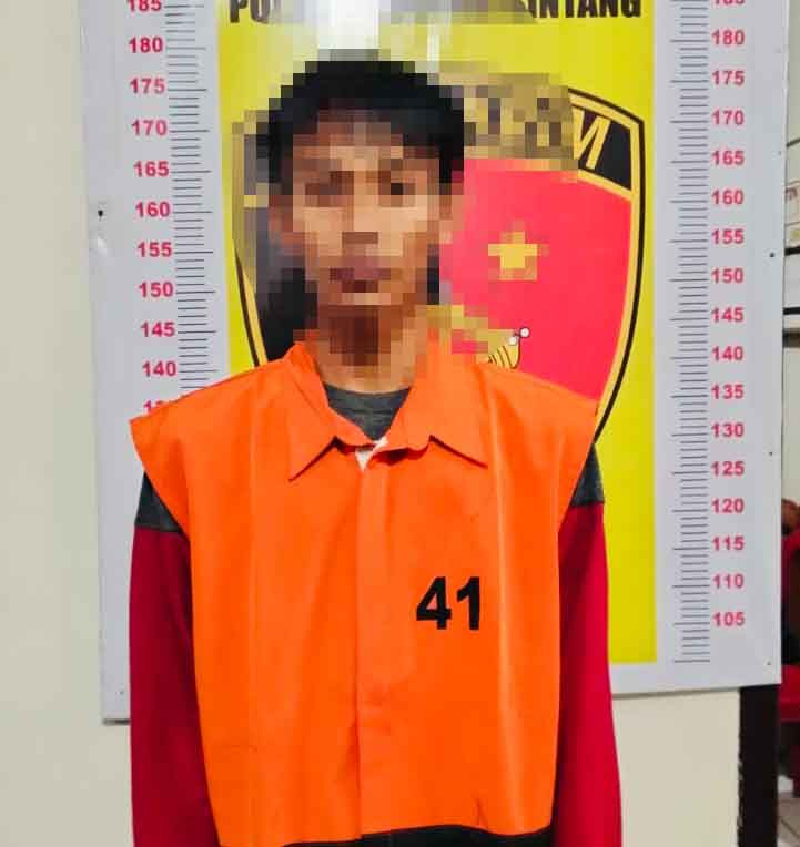 Sindikat Pencurian Kambing di Lampung Selatan Terbongkar, Polisi Tangkap Dua Pelaku Bersama Barang Bukti