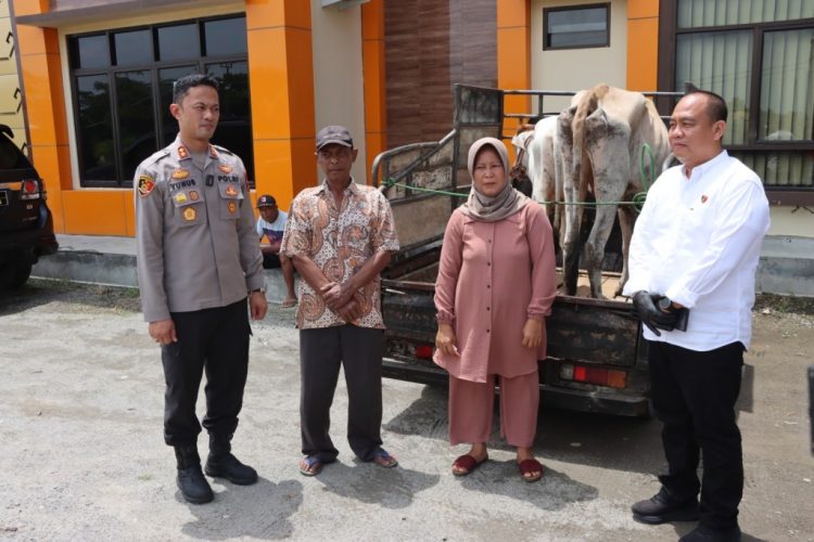 Beraksi Bertahun-tahun, Jaringan Pencuri Sapi Pringsewu Terlibat Narkoba dan Curanmor