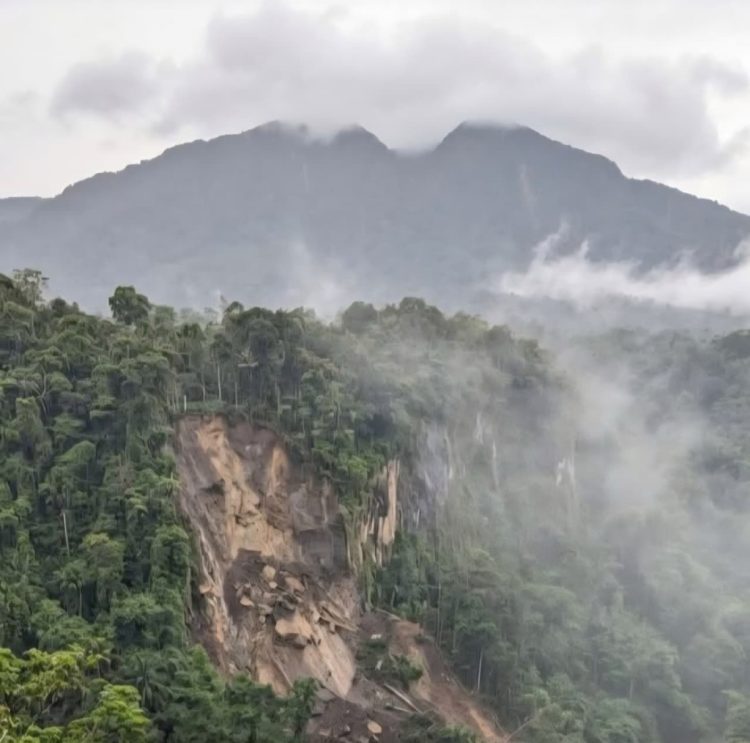 Alarm Ekologi di Gunung Rajabasa, Aktivitas Warga Diminta Dibatasi