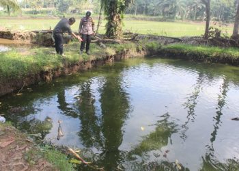 Musibah di Persawahan Pringsewu, Bocah SD Meninggal Tenggelam di Kolam