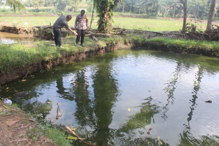 Musibah di Persawahan Pringsewu, Bocah SD Meninggal Tenggelam di Kolam