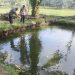 Musibah di Persawahan Pringsewu, Bocah SD Meninggal Tenggelam di Kolam