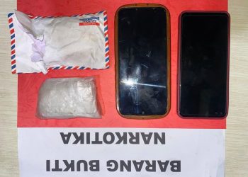 Polres Pringsewu Bongkar Jaringan Narkoba, Sabu 51 Gram Diamankan dari Dua Kurir