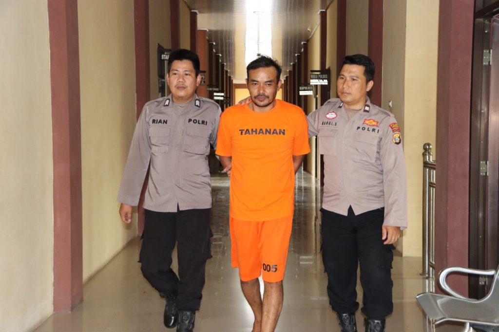 DPO Sindikat Pencurian Sapi Pringsewu Bersembunyi di Sumsel, Akhirnya Diciduk Polisi