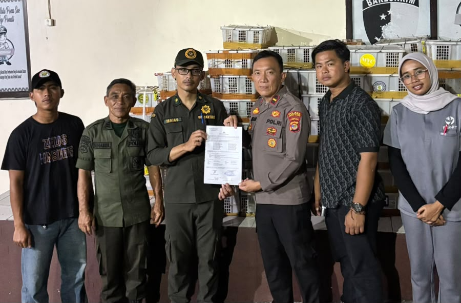 Bawa 2.775 Burung Tanpa Dokumen, Bus Sinar Jaya Diamankan Petugas di Bakauheni